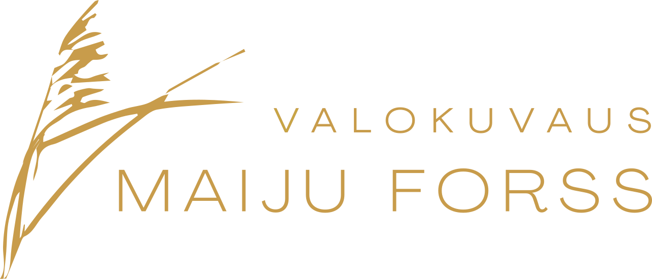 Valokuvaus Maiju Forss